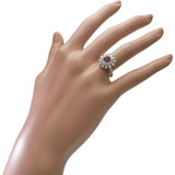 12.5号 非加熱ルビー 1.026ct ダイヤモンド 0.97ct リング・指輪 Pt950プラチナ 4.3g レディース
【中古】【真子質店】【NN】




【IMaTx】