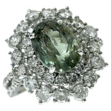 12号 アレキサンドライト 1.205ct ダイヤモンド 1.06ct リング・指輪 Pt950プラチナ 4.6g レディース
【中古】【真子質店】【NN】




【IxMaD】