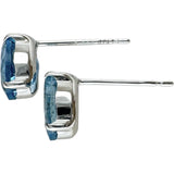 アクアマリン 0.64/0.73ct ピアス Pt900プラチナ 0.7g レディース
【中古】【真子質店】【NN】




【TMoS】