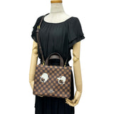 【LOUIS VUITTON/ルイ・ヴィトン】 ダミエ N40810 ファレル×NIGO ショッパートート MINI Limited Edition 2WAYハンド＆ショルダー トートバッグ PVC ブラウン/ゴールド金具 レディース【中古】【真子質店】【BL】




【DxST】