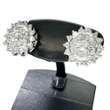 ダイヤモンド 0.52/0.52ct ピアス Pt900プラチナ 4.2g レディース
【中古】【真子質店】【NN】




【DMox】