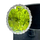 ペリドット 3.34/3.33ct ダイヤモンド 0.20×2ct ピアス Pt950プラチナ 6.9g レディース
【中古】【真子質店】【NN】




【IxxI】