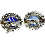 スリランカ産サファイア 1.23/1.24ct ダイヤモンド 0.211/0.212ct ピアス Pt950プラチナ 3.8g レディース
【中古】【真子質店】【NN】




【IYYI】