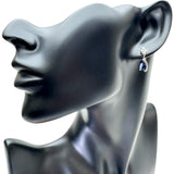 サファイア 1.52/1.23ct ダイヤモンド 0.16/0.17ct ピアス Pt900プラチナ 3.5g レディース
【中古】【真子質店】【NN】




【ITKY】