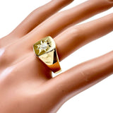 19号 印台 ダイヤモンド(I-VS2-VG-FAINT) 0.34ct リング・指輪 K18ゴールド 18金 13.6g レディース
【中古】【真子質店】【NN】




【MaISx】
【ex】