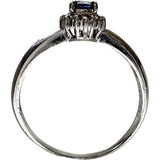 12号 サファイア 0.25ct ダイヤモンド 0.10ct リング・指輪 Pt900プラチナ 3.6g レディース
【中古】【真子質店】【NN】




【Maxx】