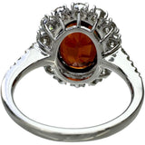 11号 スペサルティンガーネット 4.68ct ダイヤモンド 1.43ct リング・指輪 Pt950プラチナ 7.1g レディース
【中古】【真子質店】【NN】




【IYMox】