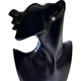 中央ダイヤモンド(推VLYーI1) 1.021/1.016ct メレダイヤモンド 0.25×2ct ピアス Pt900プラチナ 2.8g レディース
【中古】【真子質店】【NN】




【ISMix】