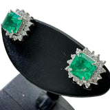 エメラルド 0.32/0.31ct ダイヤモンド 0.11/0.11ct ピアス Pt900プラチナ 1.8g レディース
【中古】【真子質店】【NN】




【DYT】