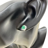 エメラルド 0.32/0.31ct ダイヤモンド 0.11/0.11ct ピアス Pt900プラチナ 1.8g レディース
【中古】【真子質店】【NN】




【DYT】