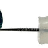 绿松石 0.33x2克拉 耳钉 Pt900铂金 0.4克 女士
【中古】【真子质店】【NN】




【Yx】