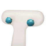 Turquoise 0.33x2ct Earrings Pt900 Platinum 0.4g Ladies
[Used] [Makoto Shiten] [NN]




[MoMo]