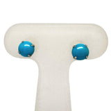 Turquoise 0.33x2ct Earrings Pt900 Platinum 0.4g Ladies
[Used] [Makoto Shiten] [NN]




[MoMo]