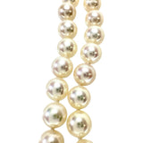 【TASAKI/タサキ】 2連デザイン アコヤ真珠4～6.5mm ブレスレット K14ゴールド 14金 18.5g 14.5cm レディース
【中古】【真子質店】【NN】




【DMiD】