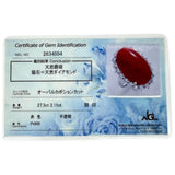 17号 赤珊瑚 27.3ct ダイヤモンド 2.11ct リング・指輪 Pt900プラチナ 20.7g レディース
【中古】【真子質店】【NN】




【DDxx】