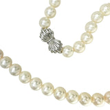 【MIKIMOTO/ミキモト】 アコヤパールφ8.0-8.5mm ネックレス K14WGホワイトゴールド 14金 42.7g 43cm レディース
【中古】【真子質店】【NN】




【Kxx】