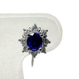 Sapphire 0.31/0.27ct Diamond Total 0.12x2ct Earrings Pt900 Platinum 3.3g Ladies
[Used] [Makoto Shintomi Store] [NN]




[MaSY]