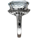 11.5号 アクアマリン 9.10ct ダイヤモンド 0.41ct リング・指輪 Pt900プラチナ 8.7g レディース
【中古】【真子質店】【NN】




【KST】
