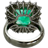 Size 12 Emerald 12.65ct Diamond 2.72ct Ring Pt900 Platinum 20.7g Ladies
[Used] [Makoto Shichiten] [NN]




[TMoxxMa]