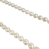 アコヤパール8.5～9.0mm ネックレス シルバー 48.1g 45cm レディース
【中古】【真子質店】【NN】




【Txx】