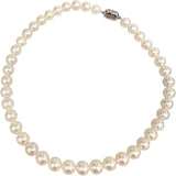 アコヤパール9.5～9.8mm ネックレス シルバー 57.1g 42.5cm レディース
【中古】【真子質店】【NN】




【Txx】