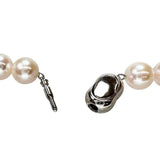 アコヤパール9.5～9.8mm ネックレス シルバー 57.1g 42.5cm レディース
【中古】【真子質店】【NN】




【Txx】