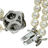Akoya Pearl 6.5-7.0mm Double Strand Necklace Silver 56.5g 41.5cm Women's
[Used] [Makoto Shiten] [NN]




[Ixx]