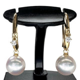 【MIKIMOTO】 Hook Earrings, 2P Dangle Diamonds, Akoya Pearl 7.3mm, Diamond Earrings, K18YG Yellow Gold, 18K, 3.0g, Ladies
【Used】【Makoto Shichiten】【GD】




【KMoS】