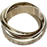 14号【CARTIER/カルティエ】 アモーレ トリニティ 1998年クリスマス限定 リング・指輪 K18WGホワイトゴールド 18金 11.8g #54 レディース
【中古】【真子質店】【GD】




【TYDx】