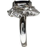 12号 ブラックオパール 1.26ct ダイヤモンド 1.23ct リング・指輪 Pt900プラチナ 10.0g レディース
【中古】【真子質店】【NN】




【TDTx】