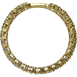 14.5号 ほぼフルサークル ダイヤモンド 1.00ct リング・指輪 K18ゴールド 18金 1.5g レディース
【中古】【真子質店】【NN】




【MoMox】