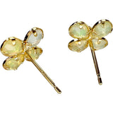 花卉主题欧泊耳环 K18黄金 18K金 0.6g 女式
【中古】【真子质店】【NN】




【IIx】