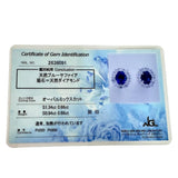 サファイア 1.34/0.94ct ダイヤモンド 0.66×2ct ピアス Pt950プラチナ/Pt900プラチナ(シャフト/キャッチ) 3.4g レディース
【中古】【真子質店】【NN】




【IDMiMo】