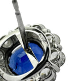 サファイア 1.34/0.94ct ダイヤモンド 0.66×2ct ピアス Pt950プラチナ/Pt900プラチナ(シャフト/キャッチ) 3.4g レディース
【中古】【真子質店】【NN】




【IDMiMo】