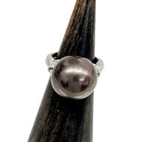 7号 黒蝶パール13.3mm ダイヤモンド 0.25ct リング・指輪 Pt900プラチナ 8.0g レディース
【中古】【真子質店】【NN】




【DYT】