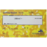 红宝石 5.70克拉 钻石 0.30克拉 手链 K18WG白金 18K金 8.0克 17.5厘米 女士
【中古】【真子质店】【NN】




【IMaKMo】