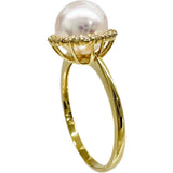 Size 14.5 Akoya Pearl 8.0mm Diamond 0.20ct Ring K18 Gold 18K 2.7g Ladies
[Used][Makoto Shichiten][NN]



[DDx]