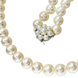 【TASAKI/タサキ】 アコヤ真珠8.5-8.9mm ネックレス シルバー 46.3g 43cm レディース
【中古】【真子質店】【NN】




【MoMox】