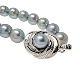 【TASAKI/タサキ】 染めアコヤ真珠 7.0～7.5ｍｍ ネックレス シルバー 34.0g 42.5cm レディース
【中古】【真子質店】【NN】




【ISMi】