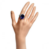 11.5号 タンザナイト 10.81ct ダイヤモンド 計1.29ct リング・指輪 Pt900プラチナ 10.8g レディース
【中古】【真子質店】【NN】




【MaMiMox】