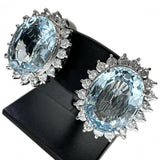 アクアマリン 4.66/3.99ct ダイヤモンド 0.51/0.51ct ピアス Pt850プラチナ/Pt900プラチナ/K14WGホワイトゴールド 12.6g レディース
【中古】【真子質店】【NN】




【IYMox】