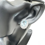 アクアマリン 4.66/3.99ct ダイヤモンド 0.51/0.51ct ピアス Pt850プラチナ/Pt900プラチナ/K14WGホワイトゴールド 12.6g レディース
【中古】【真子質店】【NN】




【IYMox】