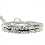 【TIFFANY&Co./ティファニー】 アトラス オープン メダリオン ダイヤモンド ダイヤモンド ネックレス K18WGホワイトゴールド 18金 3.4g 41cm レディース
【中古】【真子質店】【BL】




【IDMax】