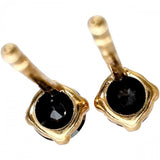 スタッド ブラックダイヤモンド 0.10×2ct ピアス K18ゴールド 18金 0.2g レディース
【中古】【真子質店】【NN】




【DD】