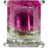 14号 バイカラートルマリン 11.62ct ダイヤモンド 0.30ct リング・指輪 Pt900プラチナ 12.8g レディース
【中古】【真子質店】【NN】




【IMaTx】