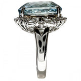 12.5号 サンタマリアカラーアクアマリン 10.02ct ダイヤモンド 0.88ct リング・指輪 Pt900プラチナ 13.5g レディース
【中古】【真子質店】【NN】




【MaSYx】