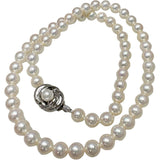 ★★最終特価品【TASAKI/タサキ】 アコヤ真珠/パール6.4〜6.8mm ネックレス シルバー 30.0g 42.5cm レディース
【中古】【真子質店】【RD】




【IYTMi】
