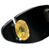 シトリン ピアス Pt900プラチナ 0.6g レディース
【中古】【真子質店】【NN】




【MaMi】