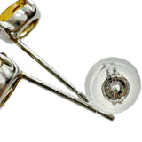 シトリン ピアス Pt900プラチナ 0.6g レディース
【中古】【真子質店】【NN】




【MaMi】