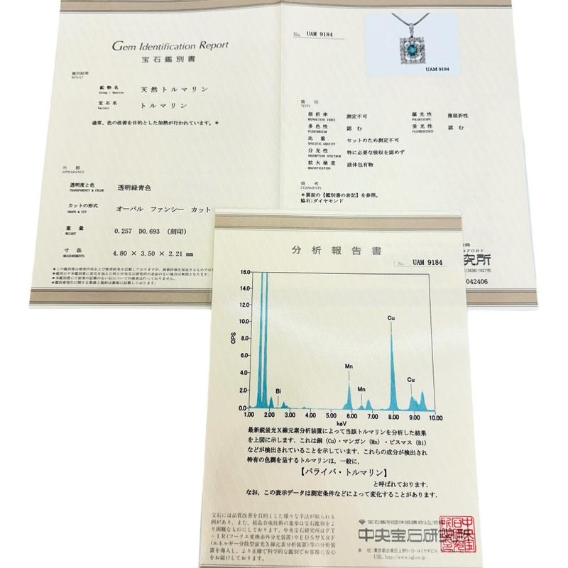 パライバトルマリン 0.257ct ダイヤモンド 0.693ct ネックレス Pt850プラチナ/Pt900プラチナ 7.4g 45cm レディース
【中古】【真子質店】【NN】




【IIII】